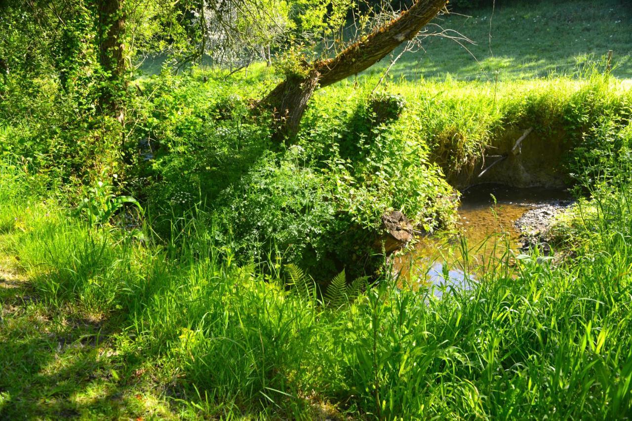 Le Domaine Du Pont Canon Plourivo Exteriér fotografie