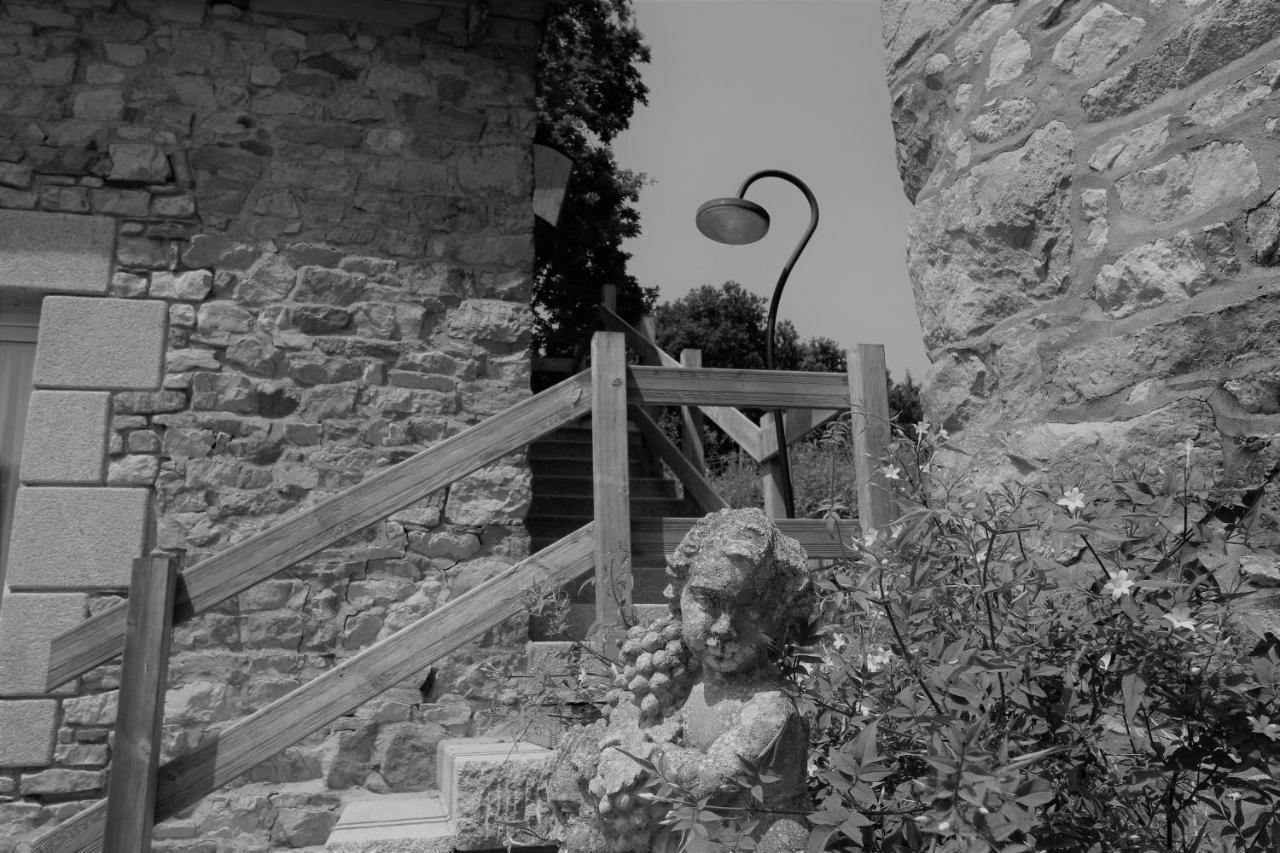 Le Domaine Du Pont Canon Plourivo Exteriér fotografie